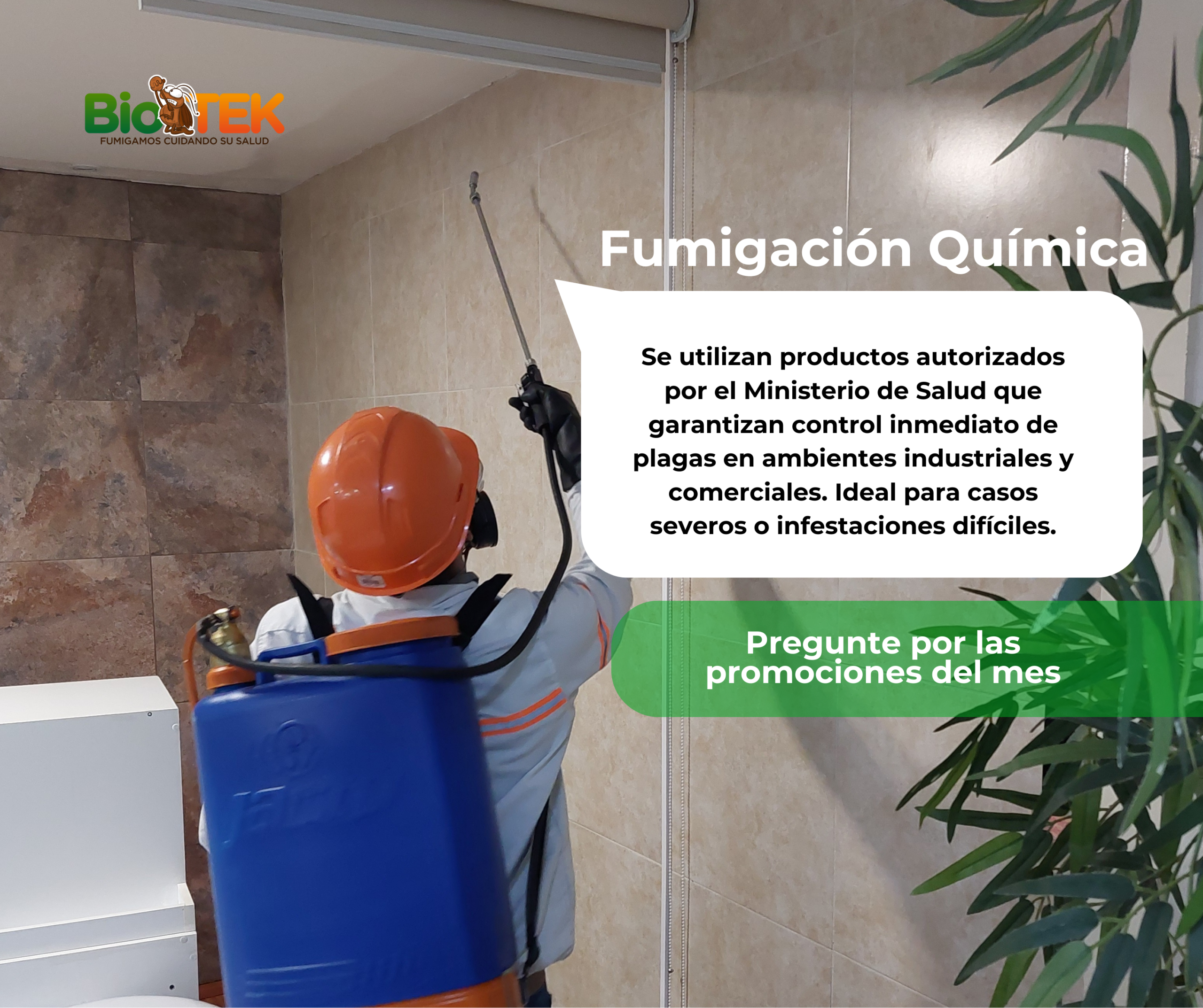 ofrecemos soluciones completas de fumigación contra (8)